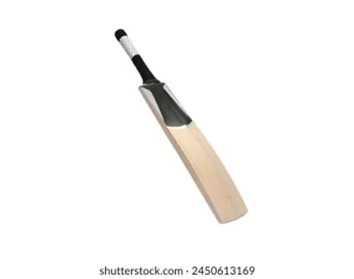 Manasvi Pro Cricket Bat